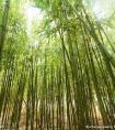 360借条 借钱下载(360借条 借钱下载下载)