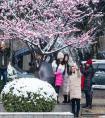 2019年生肖每月运程(2019十二生肖每月每日运程)