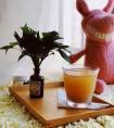 兴邦有策苍生福猜生肖(兴邦有策是什么生肖)