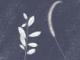 免费紫薇斗数算命(免费紫薇斗数算命六道轮回)